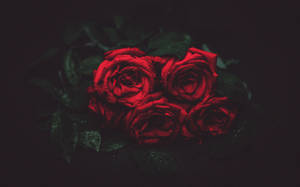 4k Bouquet Of Roses Wallpaper