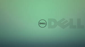 4k Dell Laptop Lid Case Wallpaper