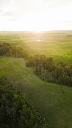 4k Golf Course Portrait Wallpaper