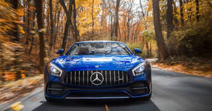4k Mercedes-benz Car In Autumn Woods Wallpaper