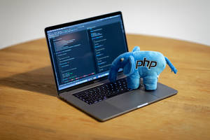 4k Programming Laptop With Elephant Plushie Wallpaper