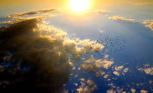 4k Sky Sunrise With Bird Flock Wallpaper