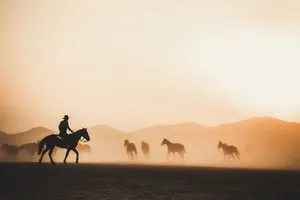 4k Tablet Cowboy Rounding Up Horses Wallpaper
