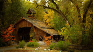 4k Uhd Small House Forest Wallpaper