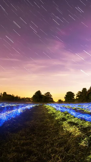 4k Ultra Hd Glowing Field Wallpaper