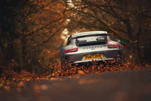 4k Ultra Hd Porsche Autumn Wallpaper