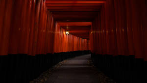5k Hd Fushimi Inari Taisha Shrine Wallpaper