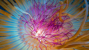 5k Hd Jellyfish Tentacles Wallpaper