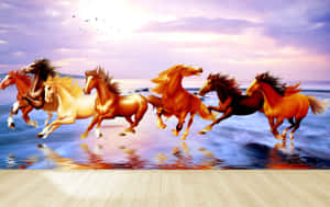 7 Brown Horses Against Clear Sky Wallpaper