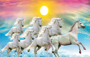 7 White Horses Colorful Sky Wallpaper