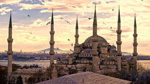 8k Ultra Hd Istanbul Blue Mosque Wallpaper