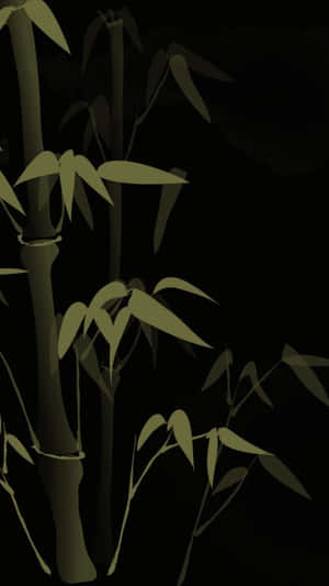 A Bamboo Tree With Leaves On A Black Background Wallpaper