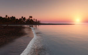 A Beach With Palm Trees Wallpaper