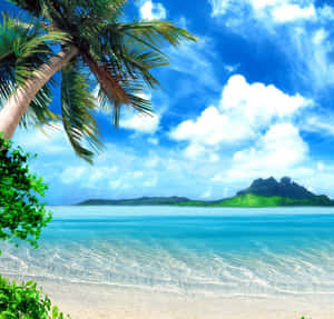 A Beach With Palm Trees And A Blue Sky Wallpaper