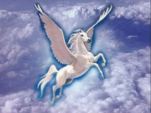 A Beautiful And Majestic Real Unicorn In The Countryside Wallpaper