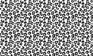 A Beautiful Black And White Animal Print Wallpaper