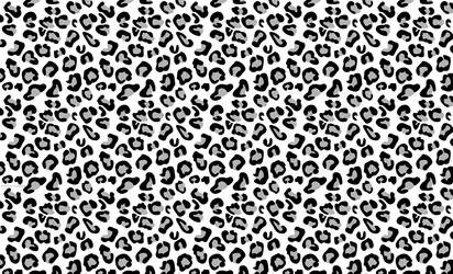 A Beautiful Black And White Animal Print Wallpaper