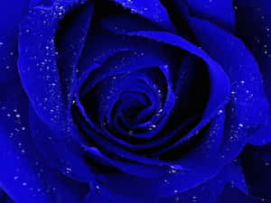 A Beautiful Blue Rose Surrounded By Lush Green Foliage Wallpaper