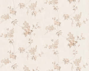 A Beautiful Brown And White Image In Nature Wallpaper