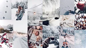 A Beautiful Collage Of Wintery Wonder Wallpaper