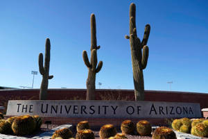 A Beautiful Day At The University Of Arizona Wallpaper