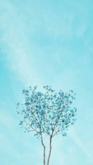 A Beautiful Light Blue Color With A Cute Design. Wallpaper