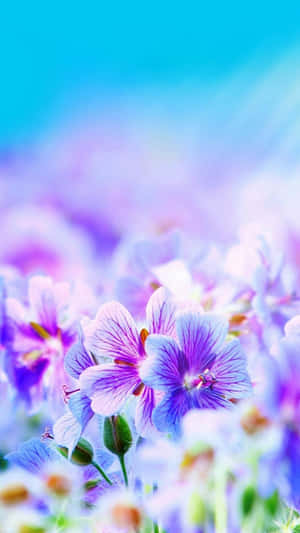 A Beautiful Pretty Flower Showcasing Its Glory Wallpaper