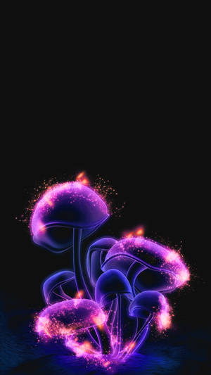 A Beautiful Psychedelic Mushroom Wallpaper