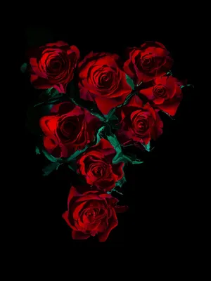 A Beautiful Red Flower In Full Bloom Showing Off Its Vibrant Aesthetic Beauty. Wallpaper