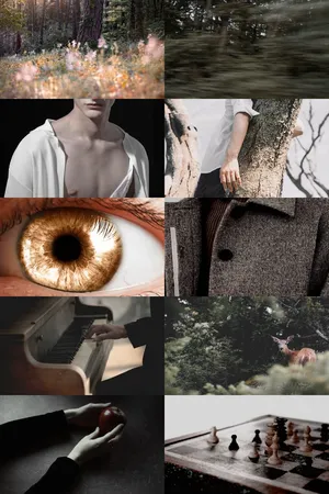 A Beautiful Sunset Reflecting In The Water Wallpaper