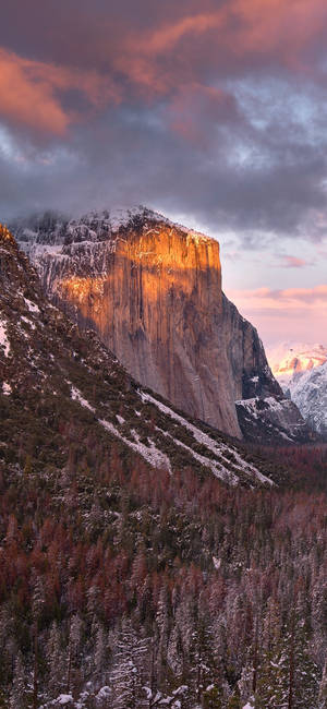 A Beautiful View Of Yosemite National Park Seen Through The Lens Of An Iphone Wallpaper