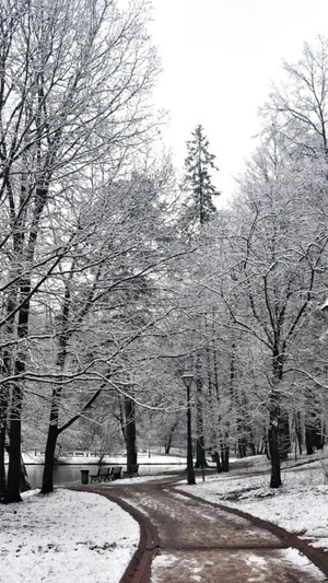 A Beautiful Winter Scene With A Phone In The Foreground Wallpaper