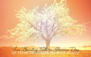 A Beautiful Young Christian Woman Holding A Cross Wallpaper