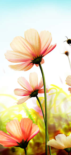 A Bee Is Flying Over A Field Of Flowers Wallpaper