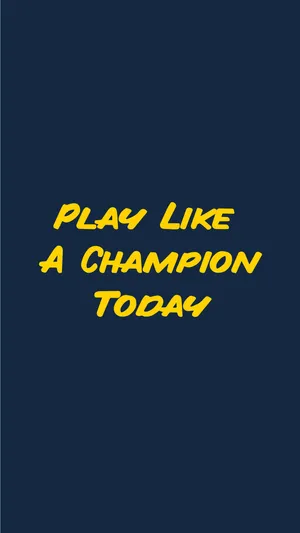 A Bird's Eye View Of Notre Dame Stadium Wallpaper