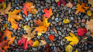 A Bird's Eye View Of The Autumn Countryside Wallpaper