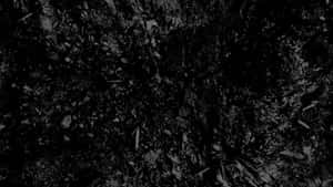 A Black And White Image Of A Tree Wallpaper