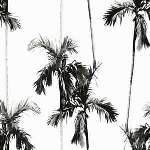 A Black And White Image Of Palm Trees Wallpaper