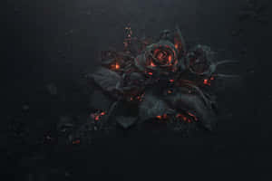 A Black Rose With Flames On It Wallpaper