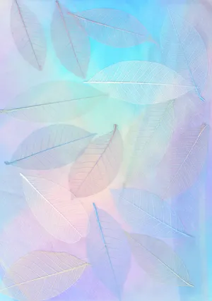 A Blue And White Background Wallpaper