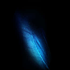A Blue Feather On A Black Background Wallpaper