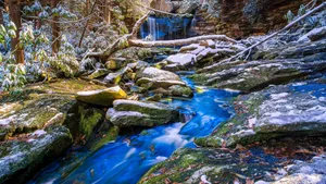 A Blue Stream In The Snowy Woods Wallpaper
