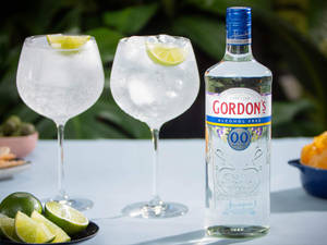 A Bottle Of Gordon's Alcohol-free Gin Wallpaper