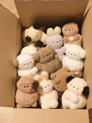 A Box Of Stuffed Animals In A Box Wallpaper