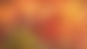 A Bright Red Spot In A Blurred Background. Wallpaper