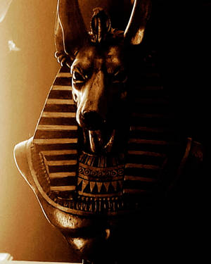 A Bust Of The God 4k Anubis Wallpaper