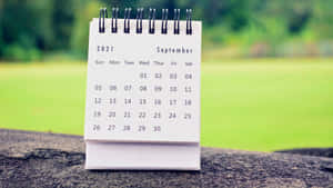 A Calendar Sitting On Top Of A Rock Wallpaper