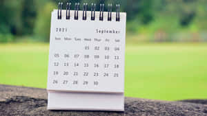 A Calendar Sitting On Top Of A Rock Wallpaper