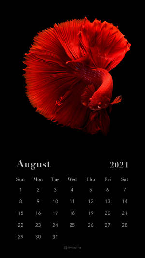 A Calendar With A Red Fish On It Wallpaper