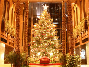 A Christmas Tree In A Lobby Wallpaper